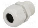 Cable gland; with long thread; PG16; IP68; Mat: polyamide; UL94V-0