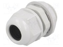 Cable gland; PG13,5; IP65; Mat: polyamide; grey