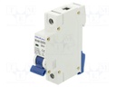 Circuit breaker; 40A; Poles: 1; for DIN rail mounting; Charact: B