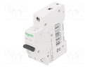 Circuit breaker; 230/400VAC; Inom: 10A; Poles: 1; DIN; Charact: C