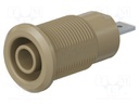 Socket; 4mm banana; 24A; 1kV; Cutout: Ø12.2mm; brown; nickel plated