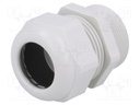 Cable gland; with long thread; PG29; IP68; Mat: polyamide; UL94V-0