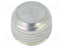 Hexagon head screw plug; with micro encapsulation; Mat: steel