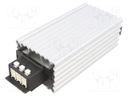 Radiator heater; 100W; IP20; DIN rail; 70x50x175mm; 110÷250V