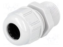 Cable gland; PG13,5; IP68; Mat: polyamide; light grey; UL94V-2