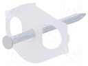 Holder; transparent; Application: Cable P-clips; with a nail