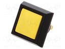 Switch: vandal resistant; Pos: 2; SPST-NO; 2A/36VDC; IP65; OFF-(ON)