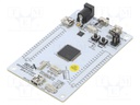 Dev.kit: ARM CORTEX-M4; USB B mini,pin strips; GPIO,SWD,USB