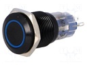 Switch: vandal resistant; Pos: 2; SPDT; 0.5A/220VAC; 1A/24VDC; IP67