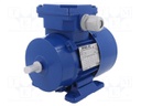 Motor: AC; 3-phase; 0.12kW; 230/400VAC; 2800rpm; 3.2kg; IP54