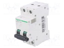 Circuit breaker; 500VDC; Inom: 16A; Poles: 2; DIN; Charact: C; 20kA