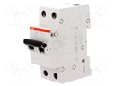 Circuit breaker; 400VAC; Inom: 10A; Poles: 2; DIN; Charact: C; 6kA