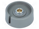 Knob; with pointer; polyamide; Shaft d: 6mm; Ø40x16mm; grey