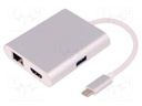 Adapter; USB 3.0,USB 3.1; nickel plated; 200mm; Colour: silver