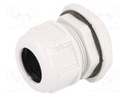 Cable gland; M40; IP68; Mat: polyamide; light grey; UL94V-2