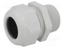 Cable gland; NPT1"; IP68; Mat: polyamide; light grey; UL94V-0