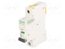 Circuit breaker; 230VAC; Inom: 10A; Poles: 1; DIN; Charact: C; 10kA