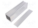 Heatsink: extruded; natural; L: 250mm; W: 62mm; H: 74mm; 0.2K/W; plain