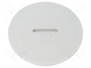 Stopper; PG29; IP54; Mat: polyamide; light grey