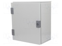 Enclosure: wall mounting; X: 300mm; Y: 350mm; Z: 200mm; orion+; steel