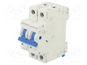 Circuit breaker; 230/400VAC; Inom: 10A; Poles: 1+N; Charact: B; 10kA