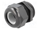 Cable gland; PG29; IP68; Mat: polyamide; black; UL94V-0