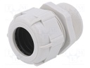 Cable gland; with long thread; M40; IP68; Mat: polyamide; grey