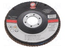 Flap grinding wheels; Ø: 115mm; Øhole: 22mm; Granularity: 80