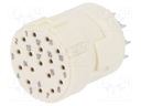 Connector: M23; PIN: 17; female; soldering; 160V; 8A; Series: Han M23