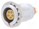 Connector: ; socket