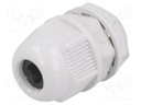 Cable gland; PG9; IP65; Mat: polyamide; grey