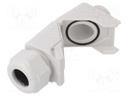 Cable gland; angular; M25; IP68; Mat: polyamide; grey