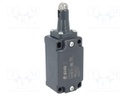 Limit switch; steel roller Ø13mm; NO + NC; 10A; max.500VAC; IP67