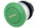 Switch: push-button; Stabl.pos: 2; 22mm; green; Illumin: none; IP67