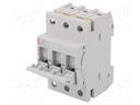 Fuse disconnector; D01; Mounting: for DIN rail mounting; 6A