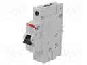 Circuit breaker; 240VAC; Inom: 10A; Poles: 1; Charact: C; 10kA; IP20