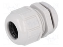 Cable gland; M25; IP68; Mat: polyamide; light grey; UL94V-2