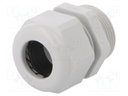 Cable gland; PG21; IP68; Mat: polyamide; light grey; UL94V-0