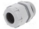 Cable gland; PG21; IP68; Mat: polyamide; dark grey