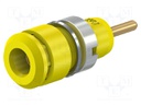 10A; insulated; yellow; Plating: gold-plated; 29mm; socket