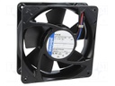 Fan: DC; axial; 119x119x38mm; 180m3/h; 49dBA; ball bearing; 3200rpm