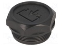 Fill plug; diameter 2 mm side breather hole; Thread: M35