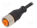 Connection lead; M12; PIN: 4; straight; 5m; plug; 250VAC; 4A; IP68