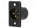 Socket; XLR; male; PIN: 3; straight; soldering; Contacts: brass; 50V