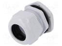 Cable gland; PG36; IP67; Mat: polyamide; grey