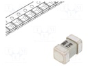 Fuse: fuse; time-lag; 315mA; 250V; SMD; ceramic; 8x4,5x4,5mm; brass