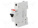 Circuit breaker; 230VAC; Inom: 32A; Poles: 1; DIN; Charact: C; 6kA