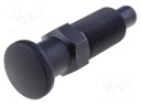 Indexing plungers; Thread: M20; Plating: black finish; Mat: steel