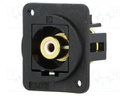Coupler; RCA socket,both sides; Case: XLR standard; 19x24mm