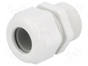 Cable gland; with long thread; PG21; IP68; Mat: polyamide; UL94V-0